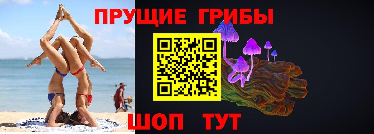 Галлюциногенные грибы прущие грибы Малгобек