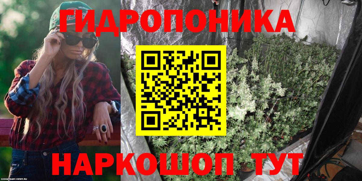 Канабис сатива Малгобек